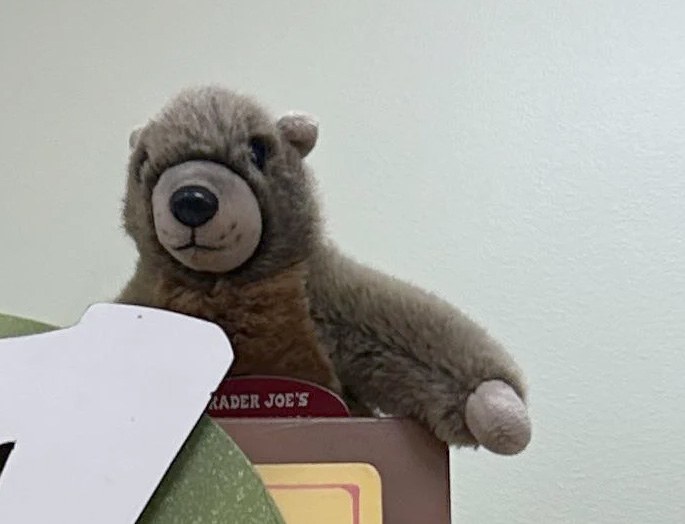 Unnamed the Squirrel at Trader Joe's Spokane — North Division, WA