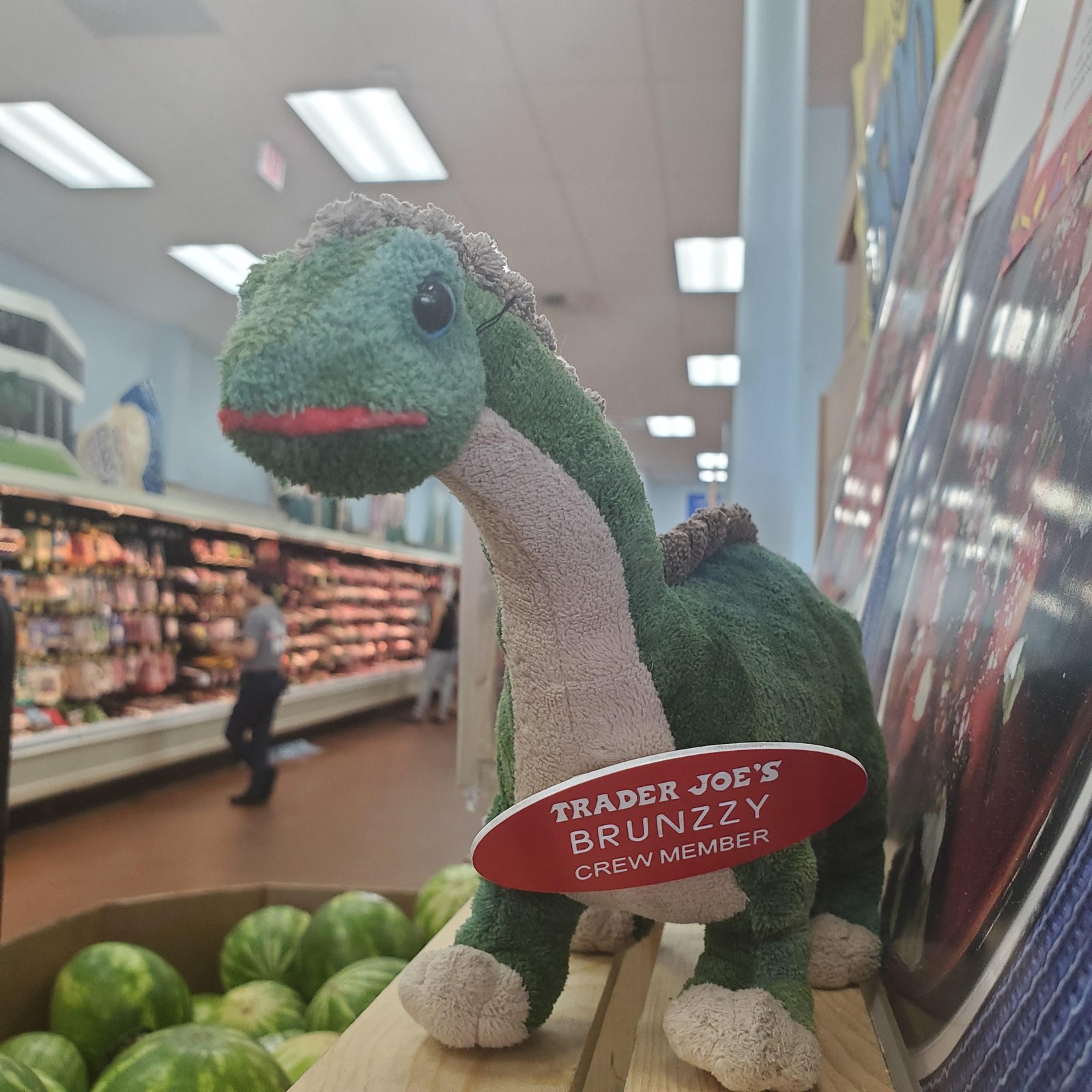 Brunzzy the Brontosaurus at Trader Joe's North Brunswick, NJ