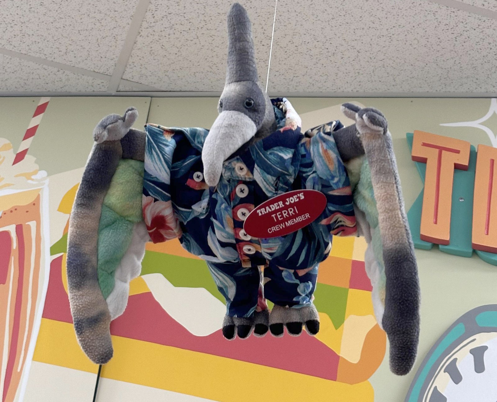 Terri the Pterodactyl at Trader Joe's Clifton, NJ