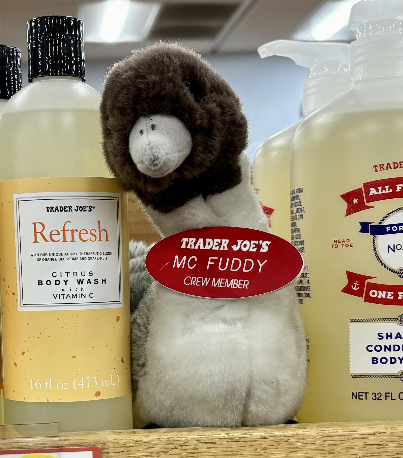 Mc Fuddy the Goose at Trader Joe's Arroyo Grande, CA