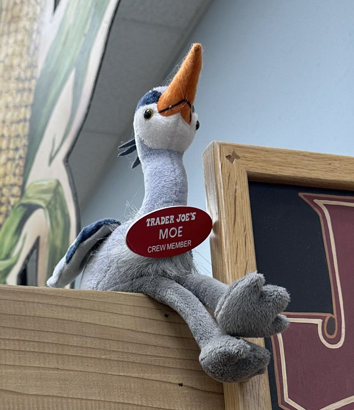 Moe the Great Blue Heron at Trader Joe's Washington — Capitol Hill, DC