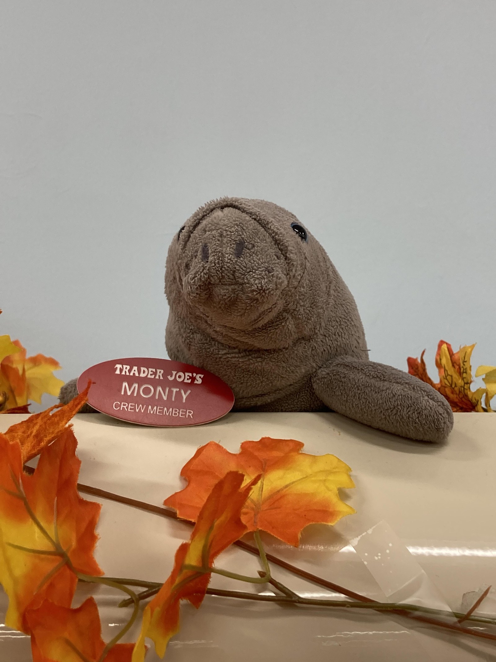 Monty the Manatee at Trader Joe's Naples, FL