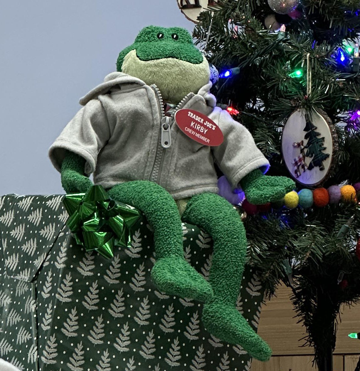 Kirby the Frog at Trader Joe's San Jose — West San Jose, CA