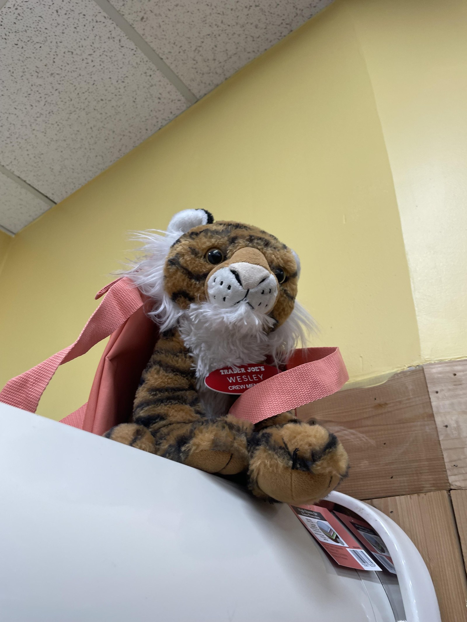 Wesley the Tiger at Trader Joe's Burbank, CA
