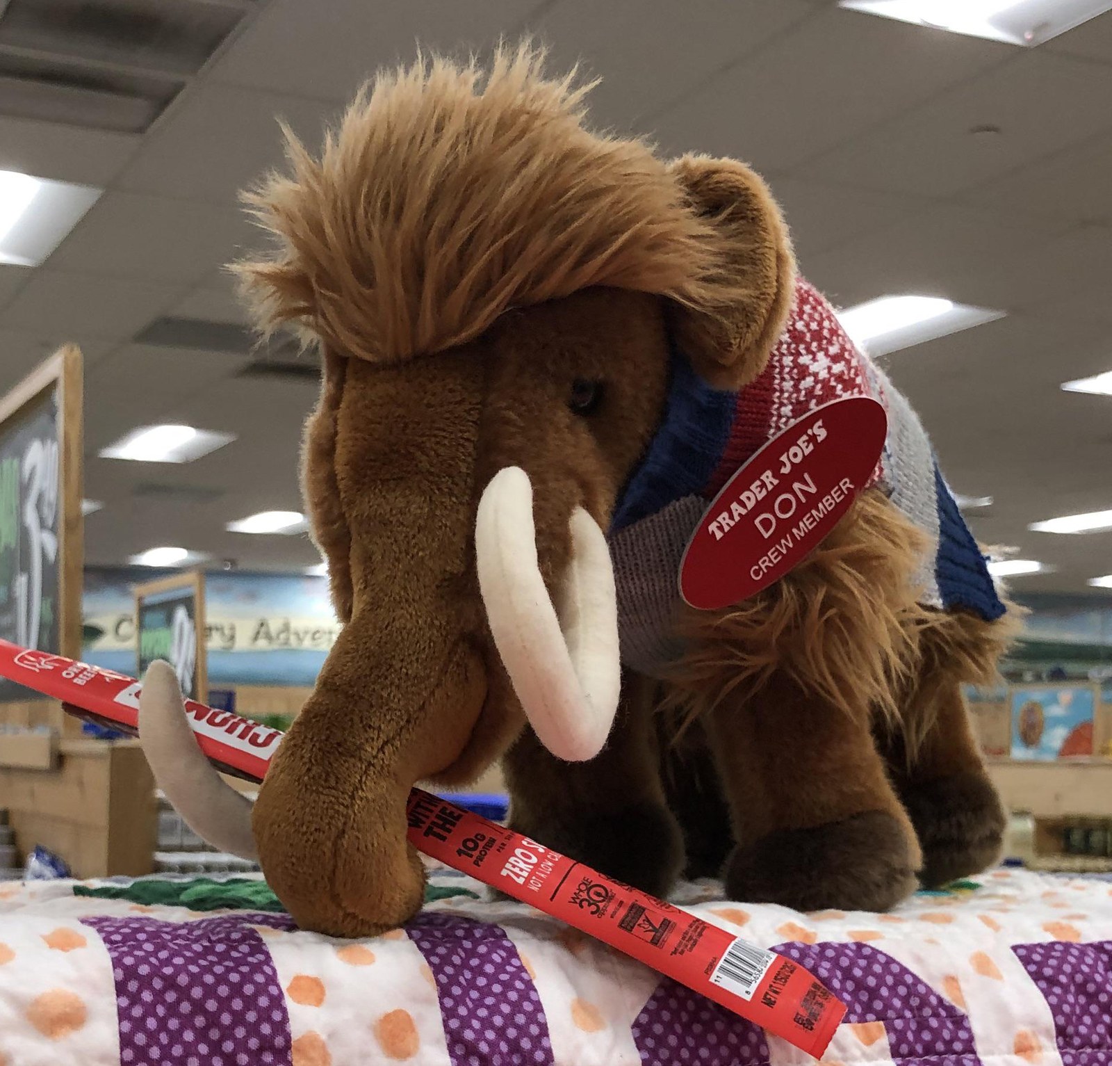 Don the Mastodon at Trader Joe's Ithaca, NY