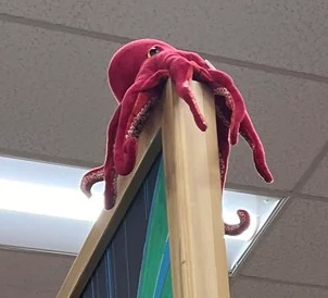 Unnamed the Octopus at Trader Joe's San Diego — Scripps Ranch, CA