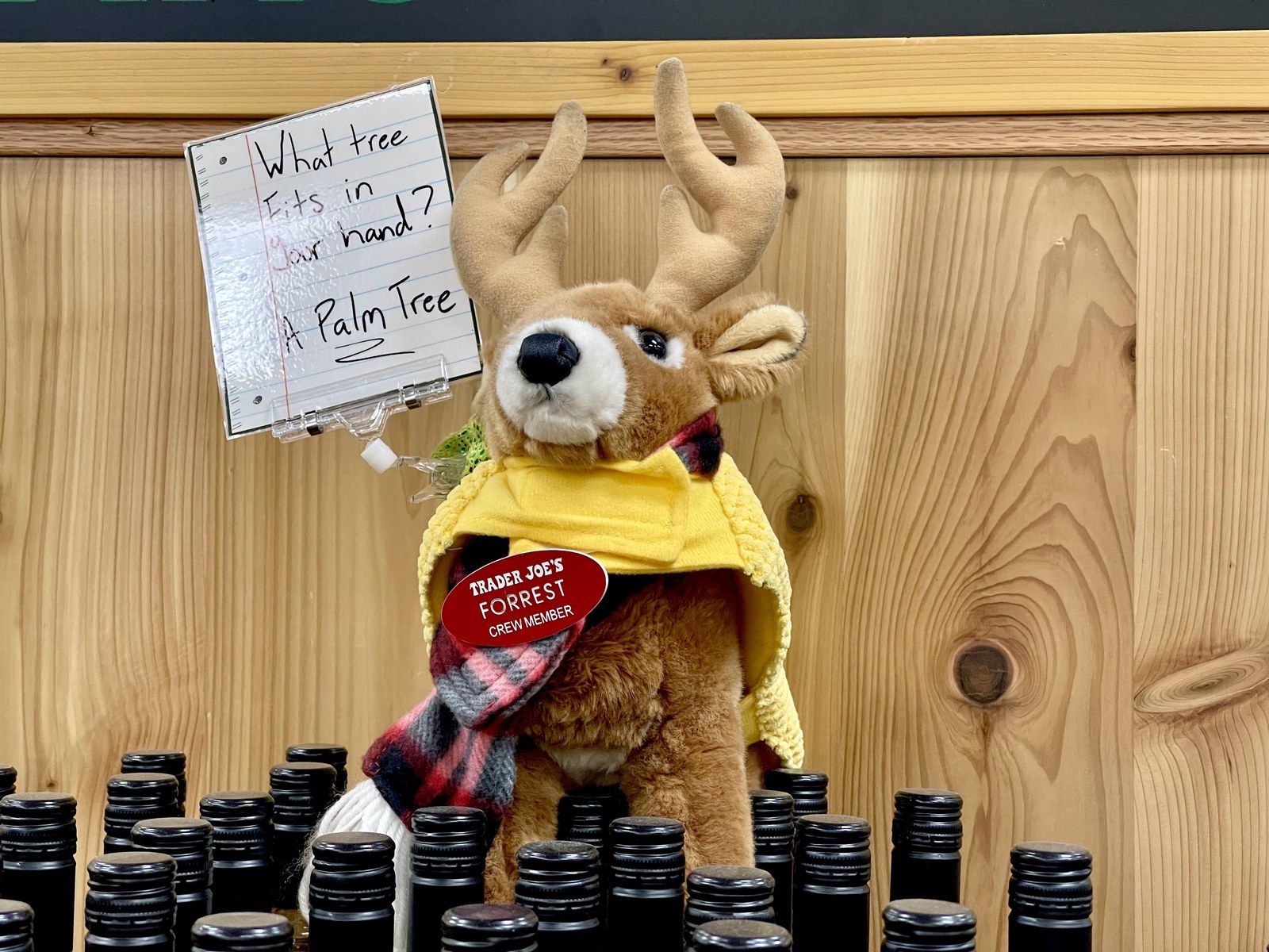 Forrest the Deer at Trader Joe's Rochester Hills, MI