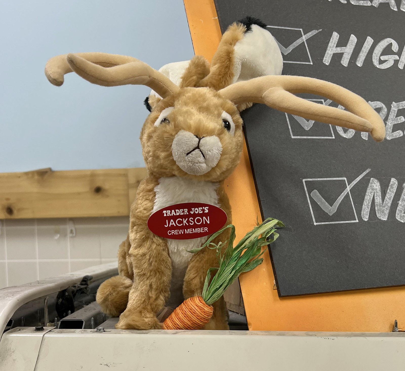 Jackson the Jackalope at Trader Joe's San Antonio — Stone Oak, TX