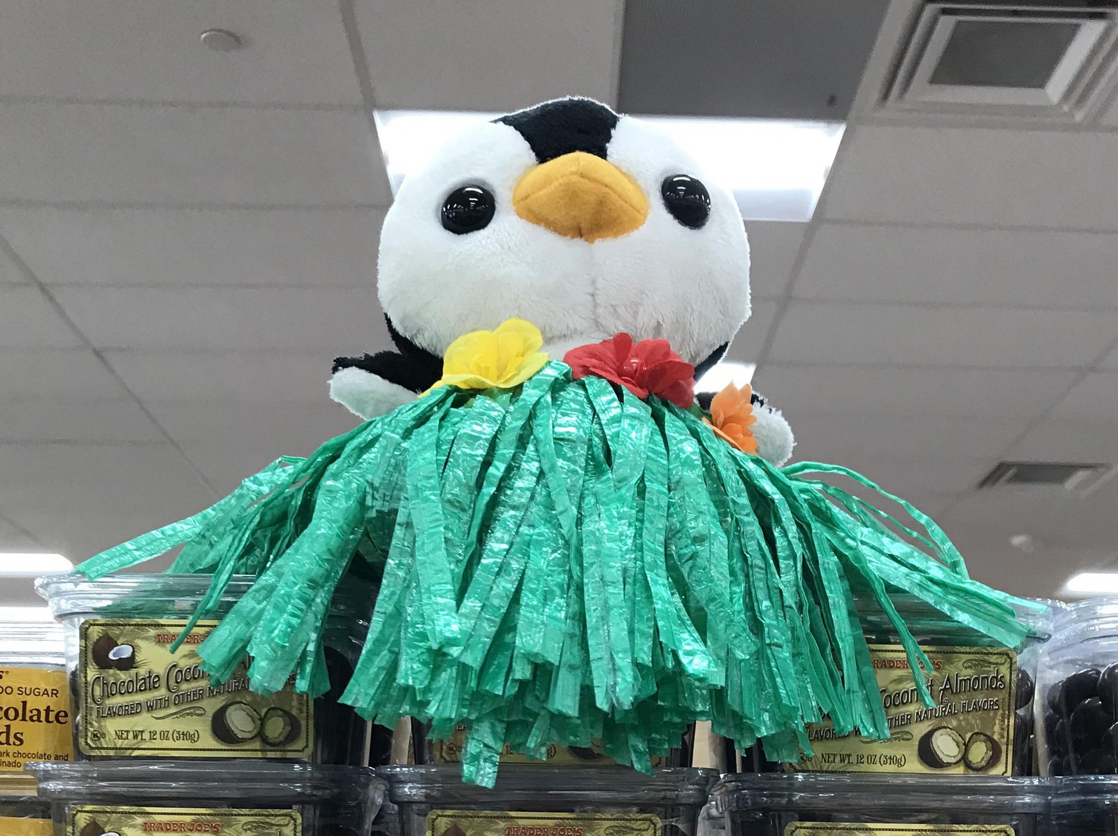 Ice Cube the Penguin at Trader Joe's Crestview Hills — Dixie Hwy, KY