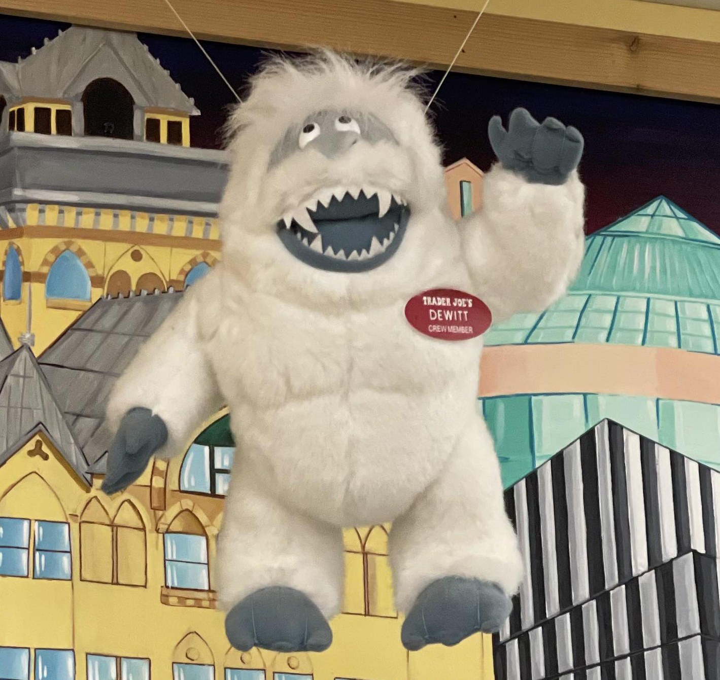 DeWitt the Yeti at Trader Joe's Syracuse, NY