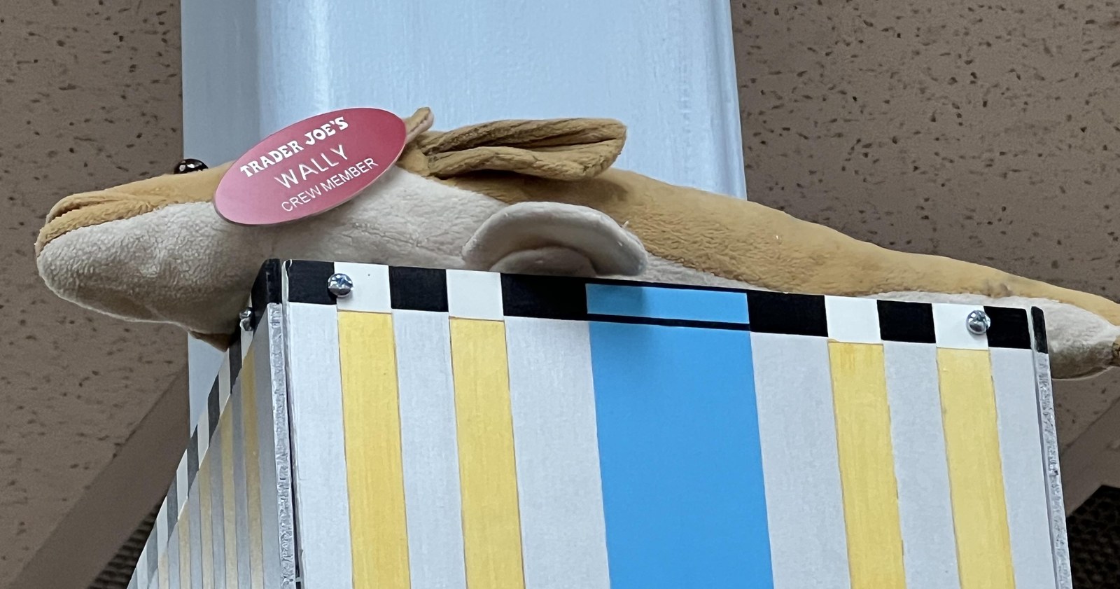 Wally the Walleye at Trader Joe's Minnetonka, MN