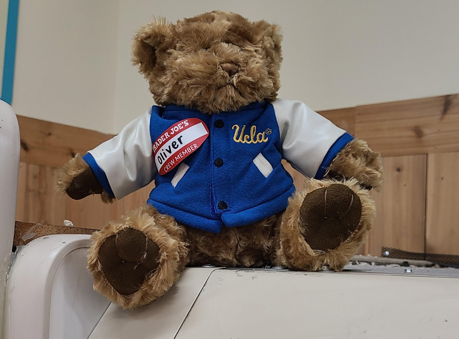 Oliver the Bruin