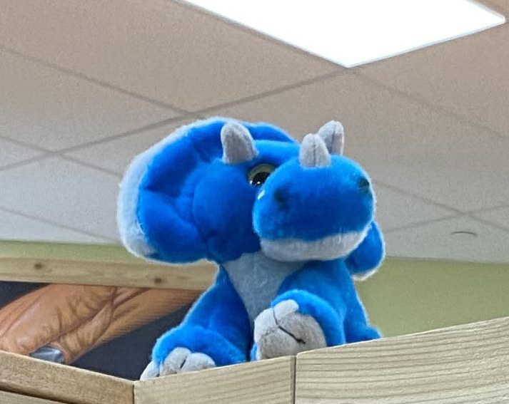 Topsy the Triceratops at Trader Joe's Laguna Hills, CA