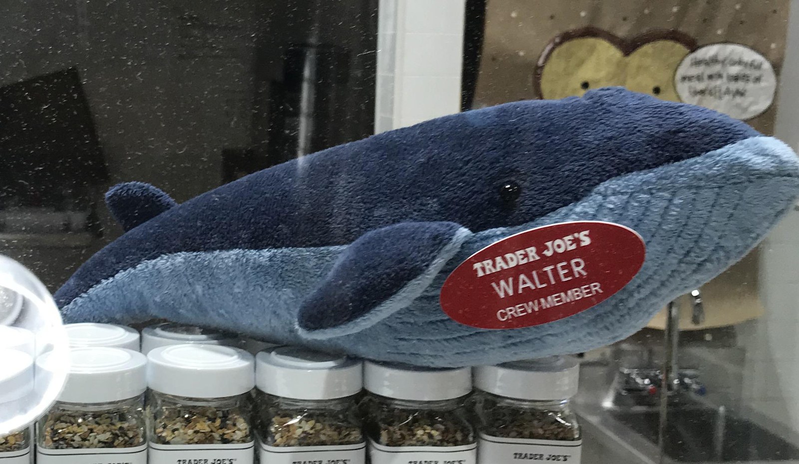 Walter the Blue Whale at Trader Joe's Boston — Seaport, MA