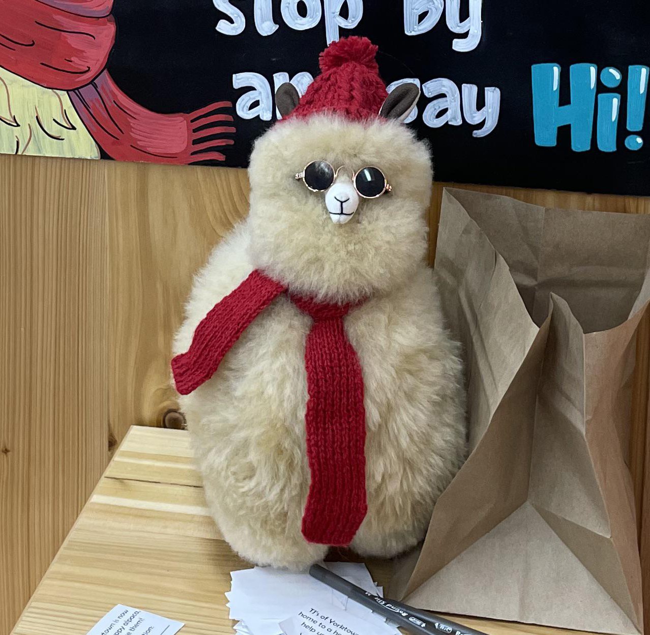Ally the Alpaca at Trader Joe's Yorktown, NY