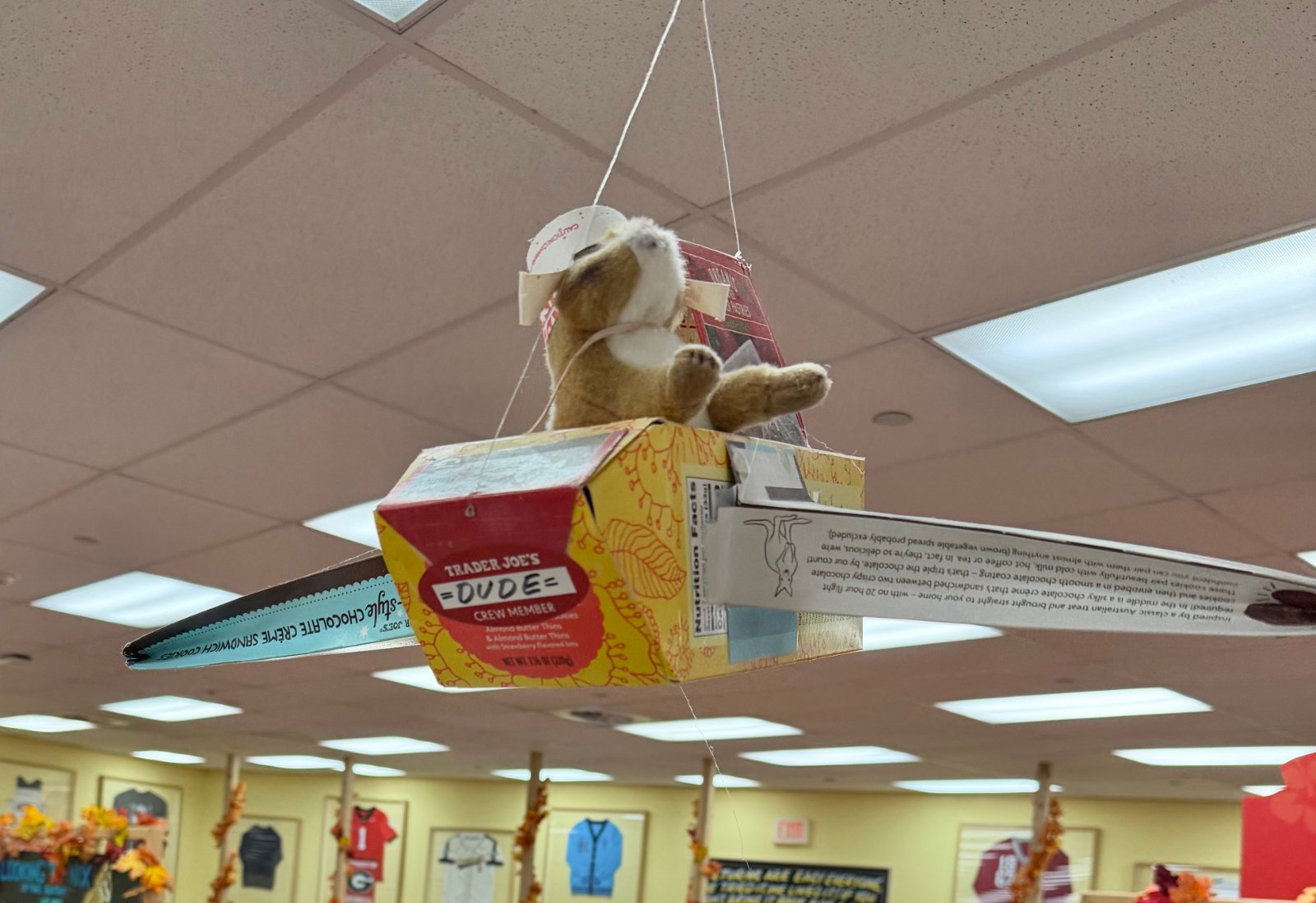 Dude  the squirrel or chipmunk at Trader Joe's Atlanta — Midtown, GA