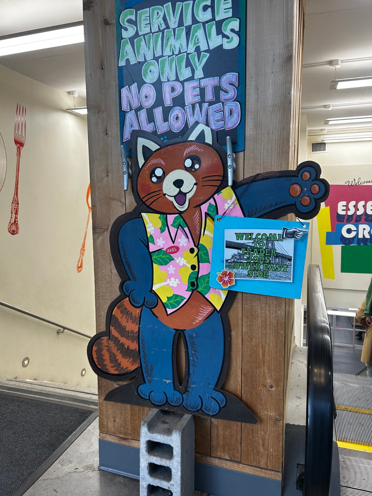 Axel the Red Panda at Trader Joe's New York