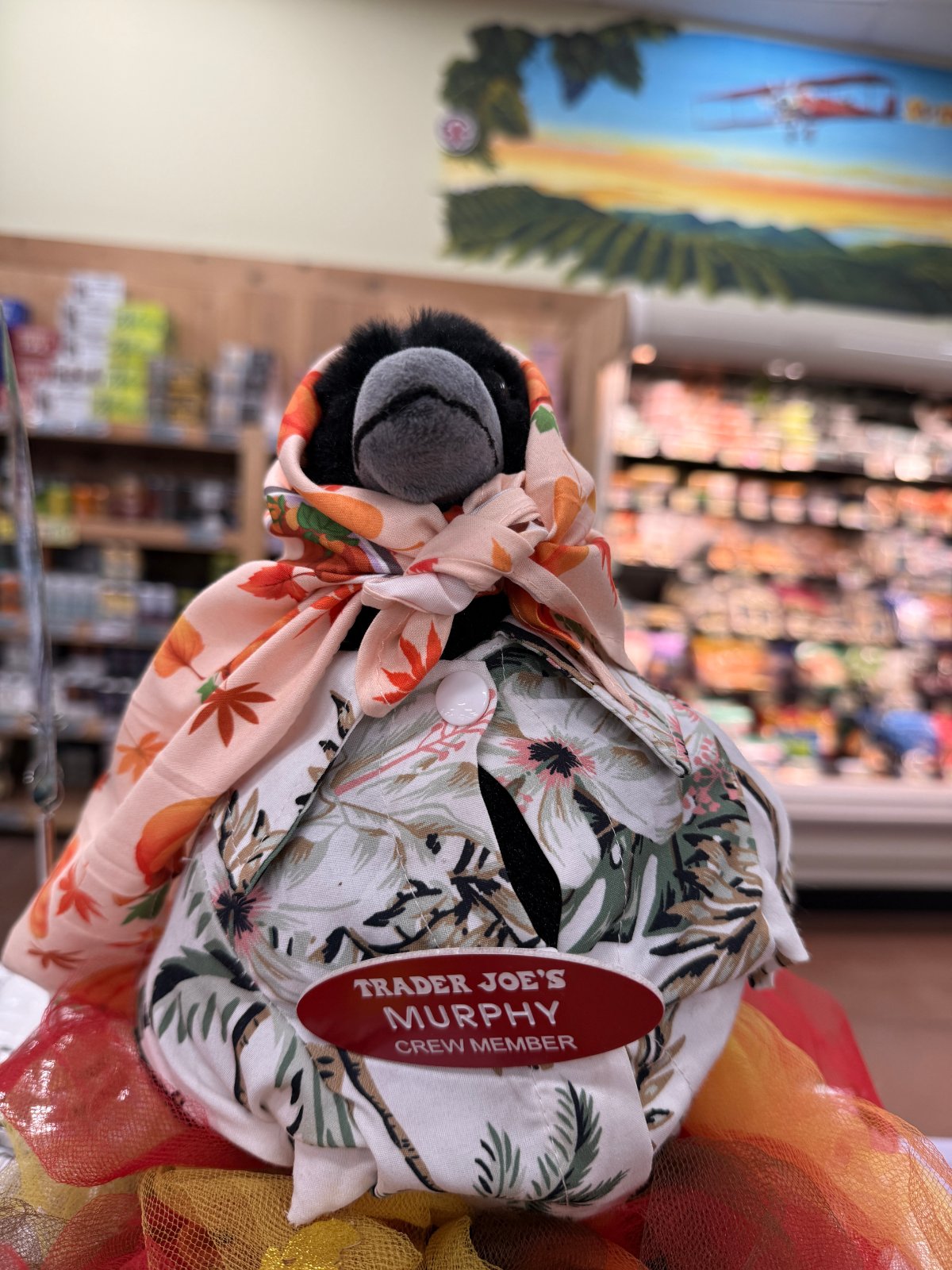Murphy the Crow at Trader Joe's Sunnyvale