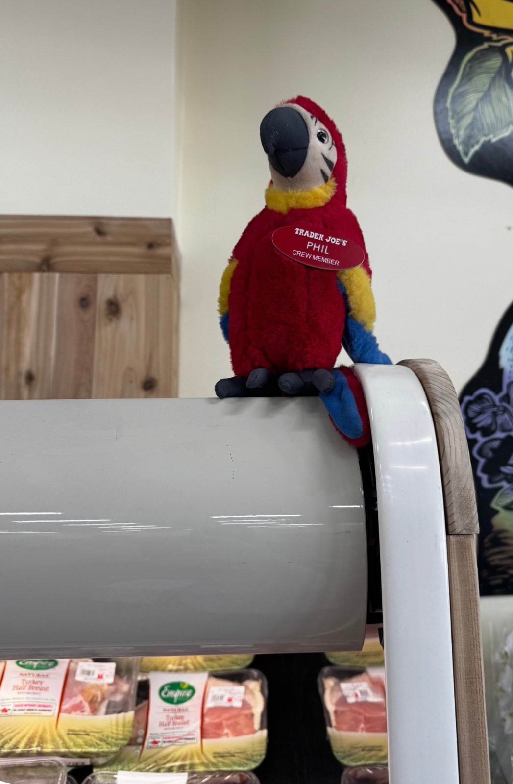 Phil the Parrot, photographed at the Trader Joe's in Camarillo, CA